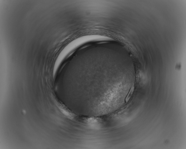X0000091460566200708161525