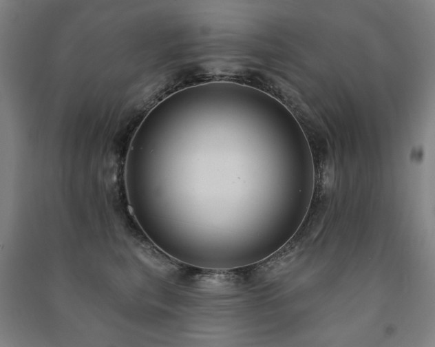 X0000091460567200708161525