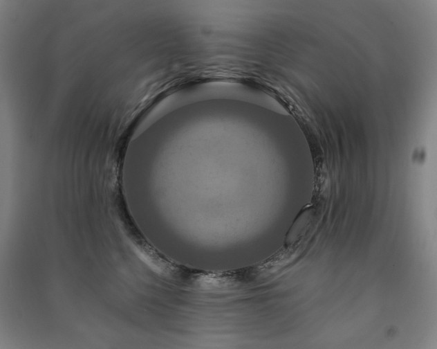 X0000091460568200708161525
