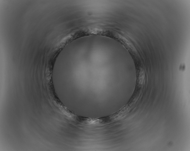 X0000091460569200708161525