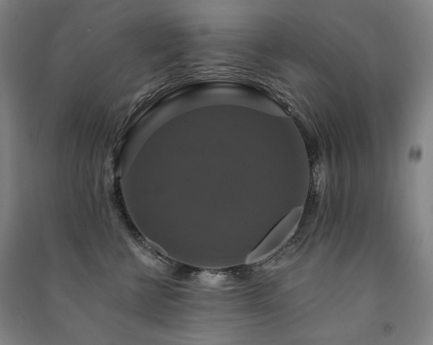 X0000091460570200708161525