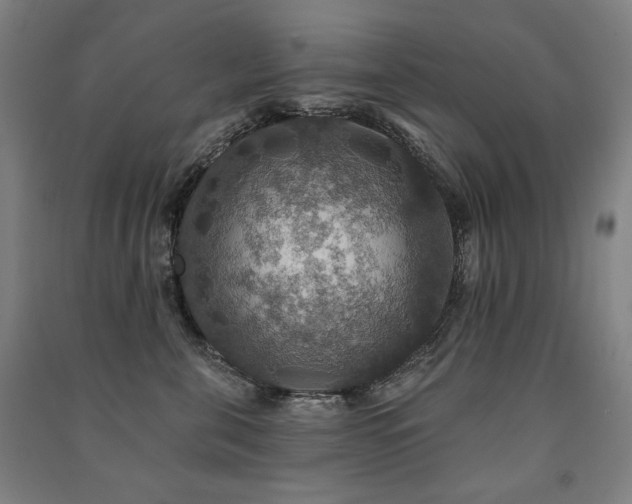 X0000091460571200708161525