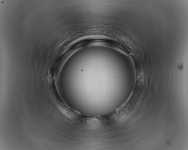 X0000091460572200708161525