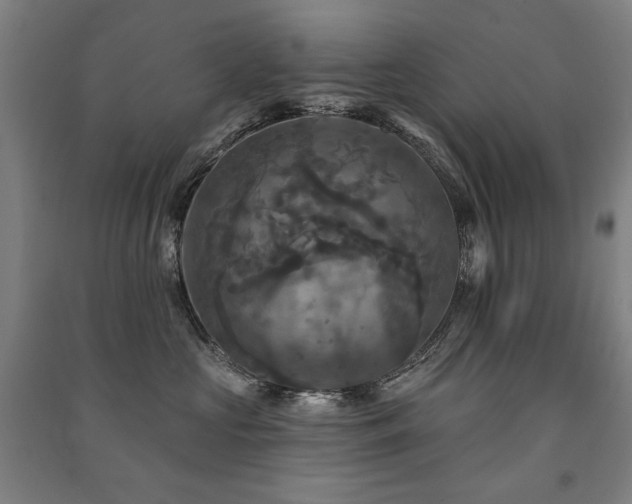 X0000091460573200708161525