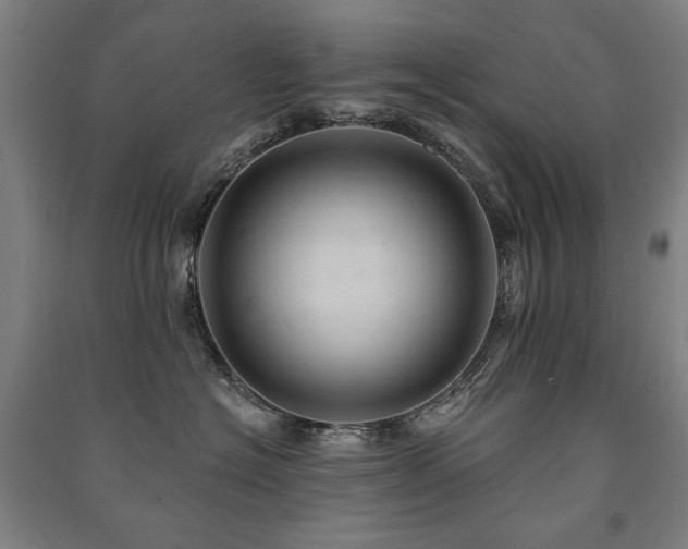 X0000091460574200708161525