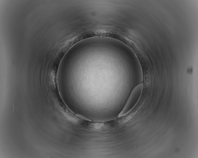 X0000091460575200708161525