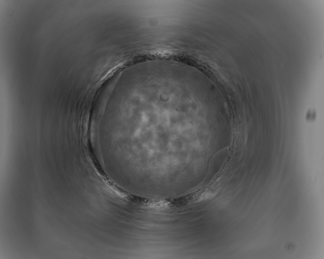 X0000091460576200708161525