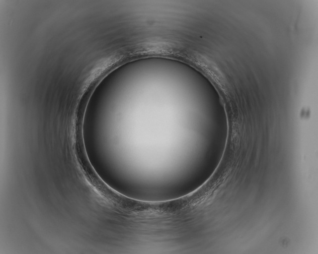 X0000091460578200708161524