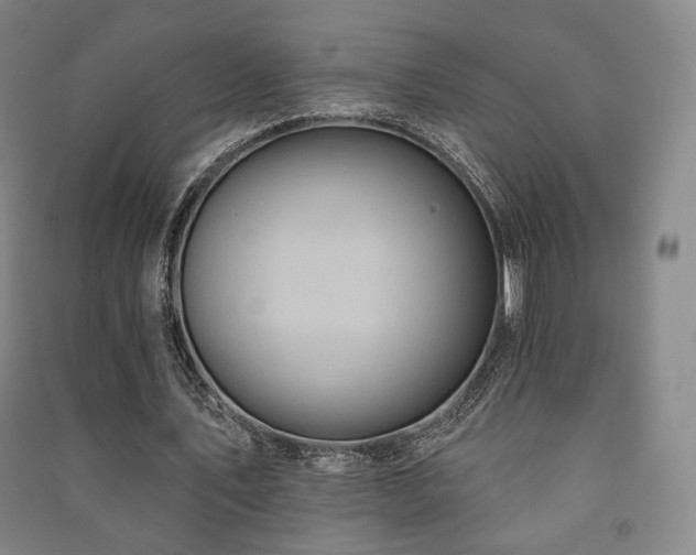 X0000091460579200708161524