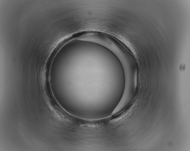 X0000091460580200708161524