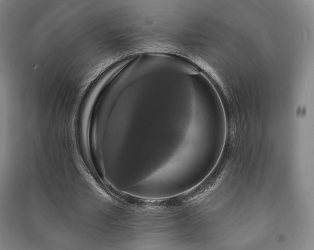X0000091460581200708161524