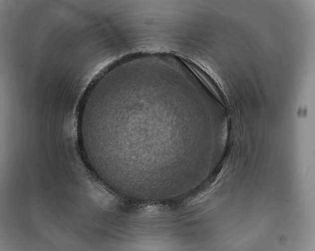 X0000091460584200708161524