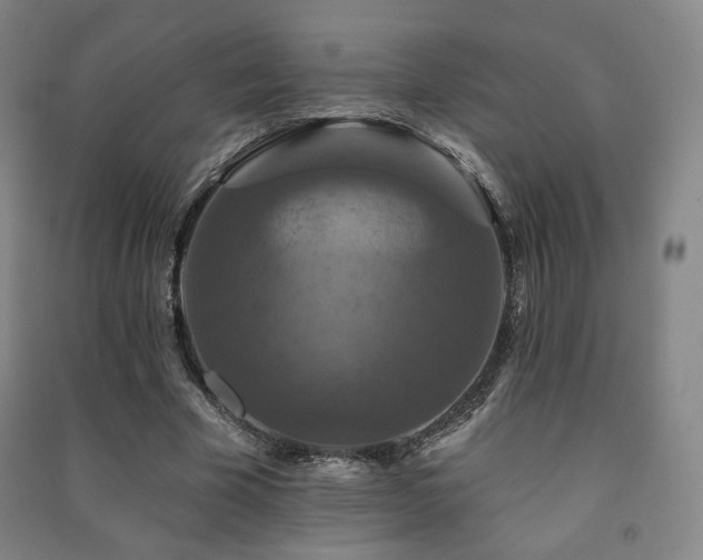 X0000091460585200708161524