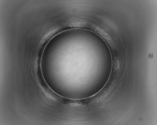 X0000091460586200708161524