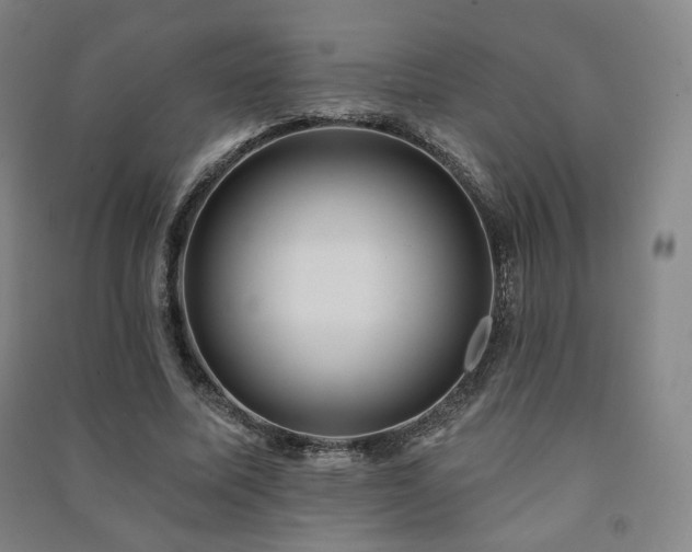 X0000091460587200708161524