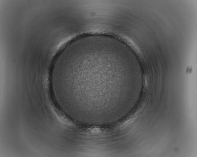 X0000091460588200708161524