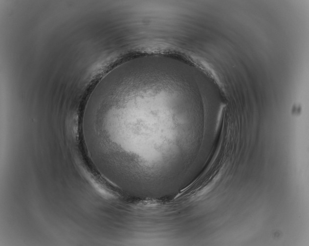 X0000091460589200708161524