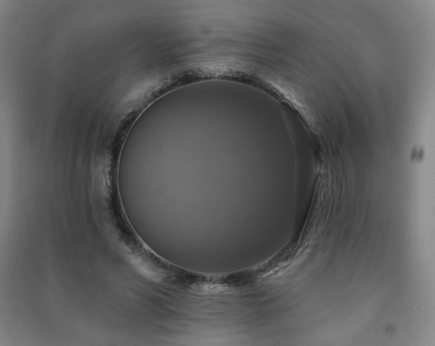 X0000091460590200708161524