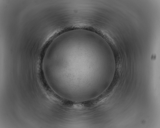 X0000091460591200708161524