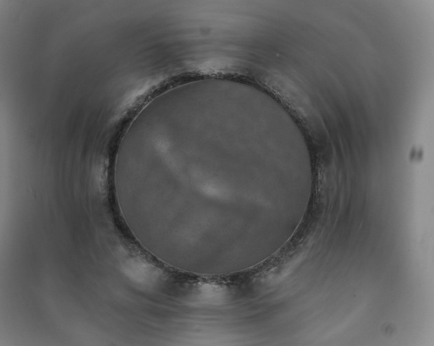 X0000091460592200708161524