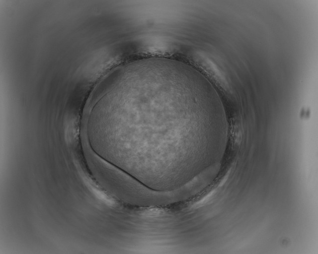 X0000091460593200708161524