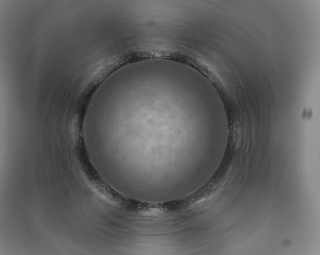X0000091460594200708161524