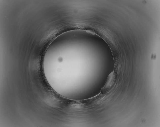 X0000091460595200708161524