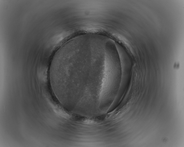 X0000091460596200708161524