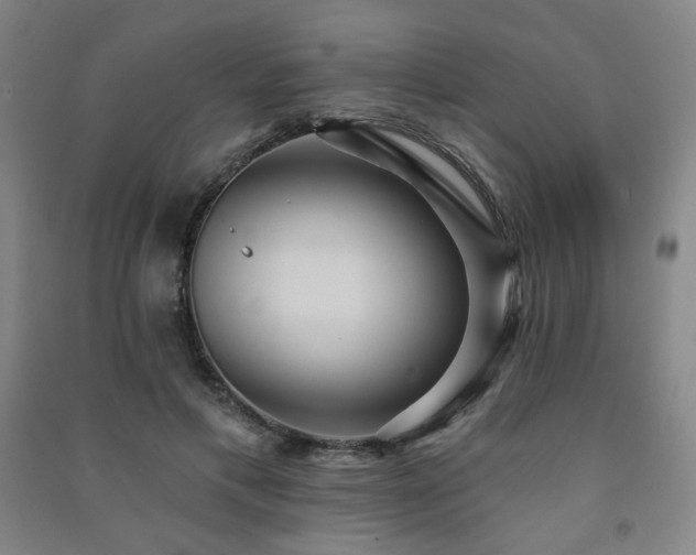 X0000091460597200708161524