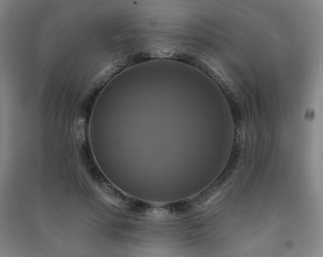 X0000091460598200708161524