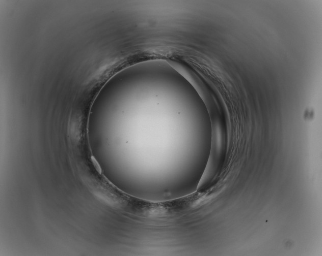 X0000091460600200708161524