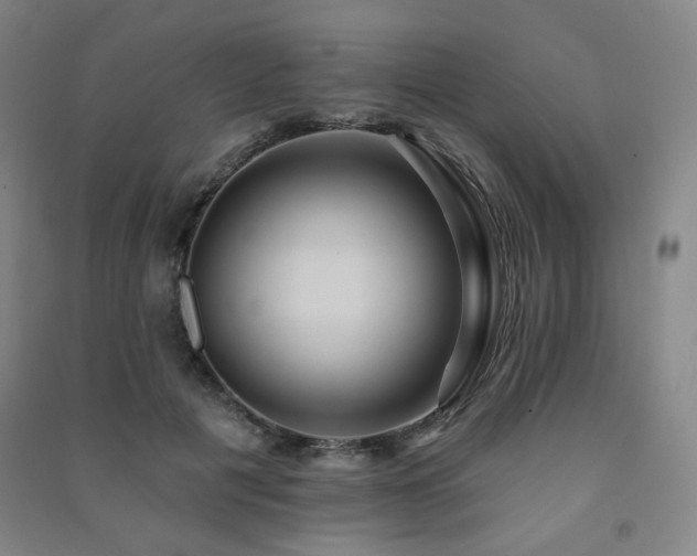 X0000091460601200708161524