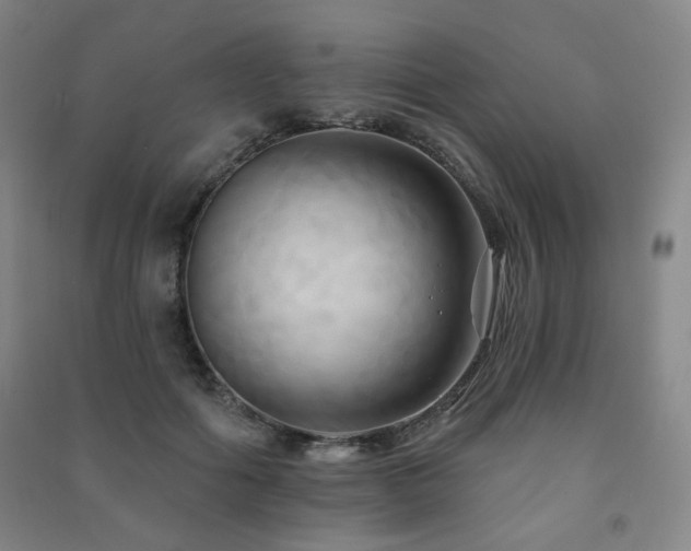 X0000091460602200708161524