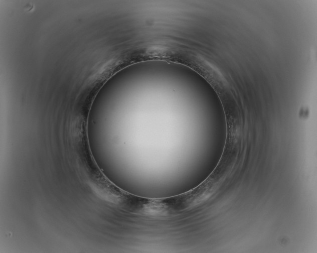 X0000091460603200708161524