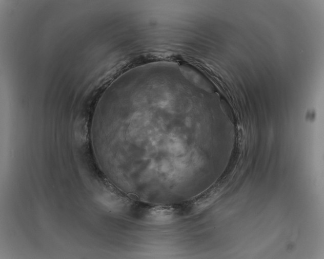 X0000091460606200708161524