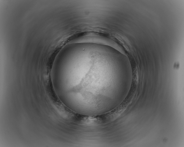 X0000091460607200708161524