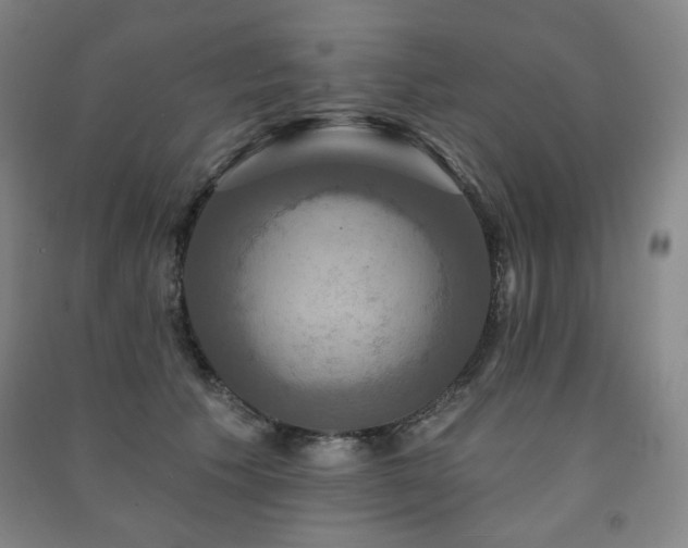 X0000091460609200708161524