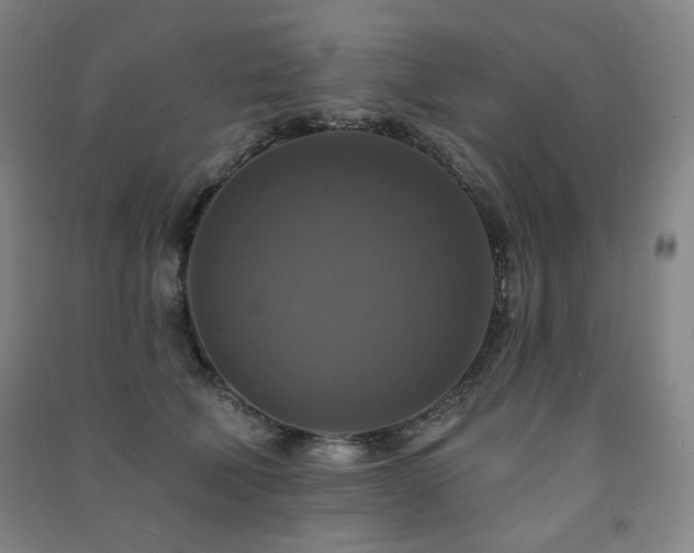 X0000091460610200708161524