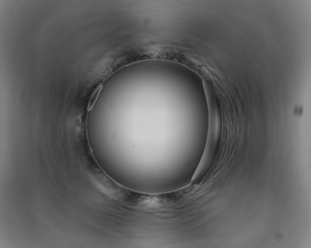 X0000091460611200708161524