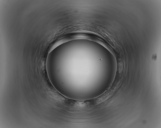 X0000091460613200708161524