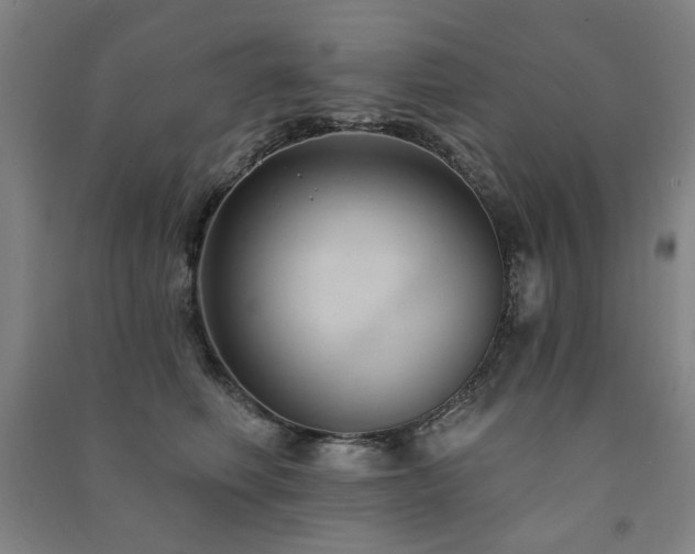 X0000091460614200708161524