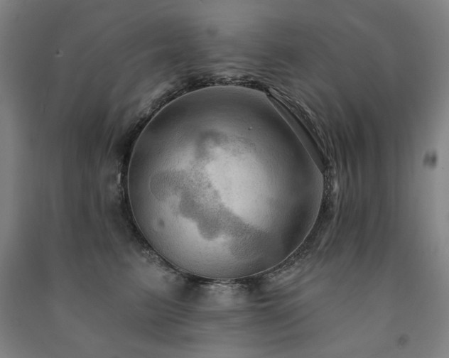 X0000091460615200708161524