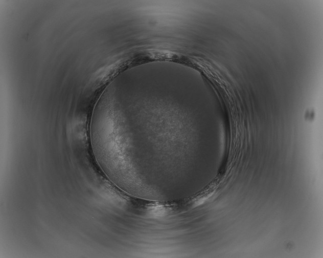 X0000091460616200708161524