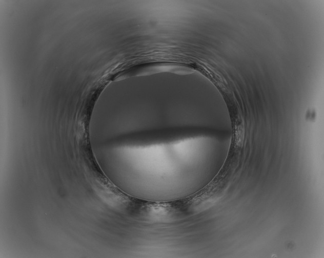 X0000091460618200708161524