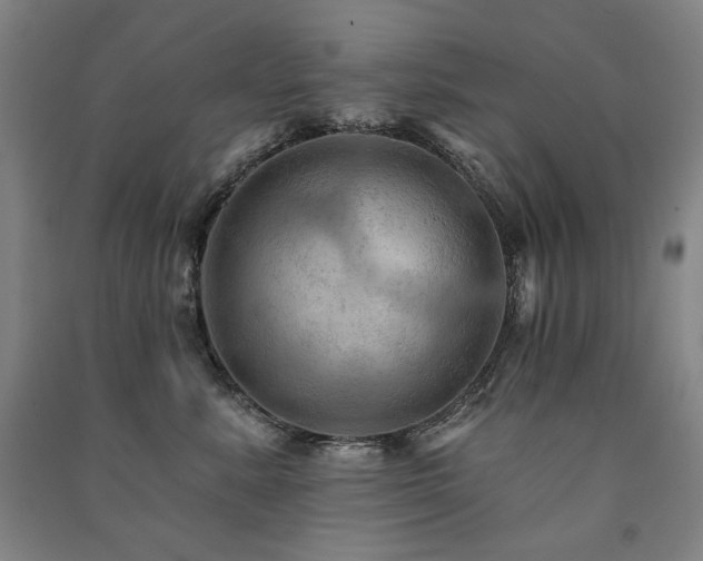 X0000091460619200708161524
