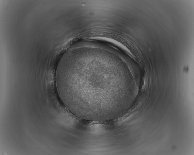 X0000091460620200708161523