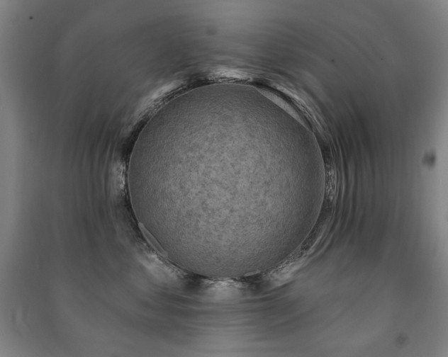 X0000091460621200708161523