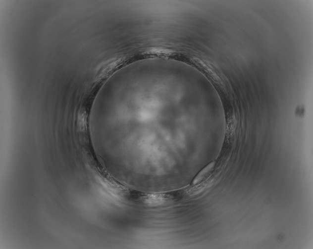 X0000091460623200708161523