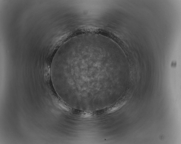 X0000091460624200708161523