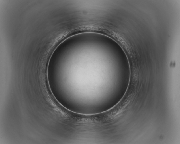 X0000091460625200708161523
